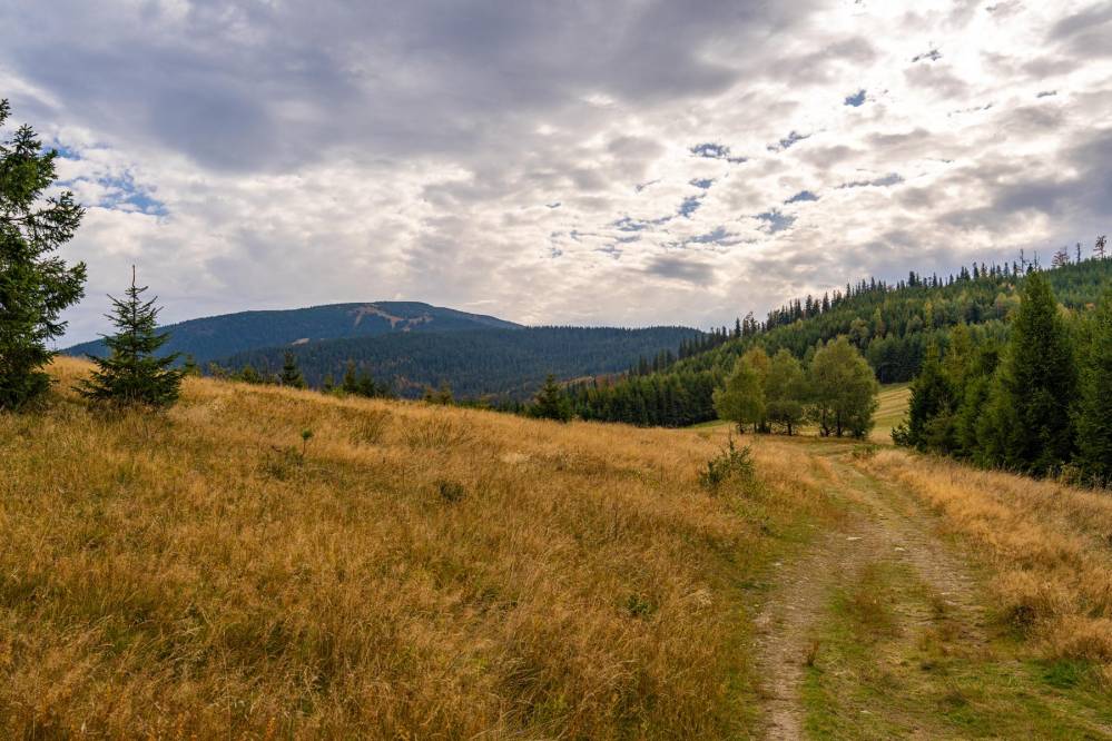 20. Widok z Hali Malorki na Pilsko