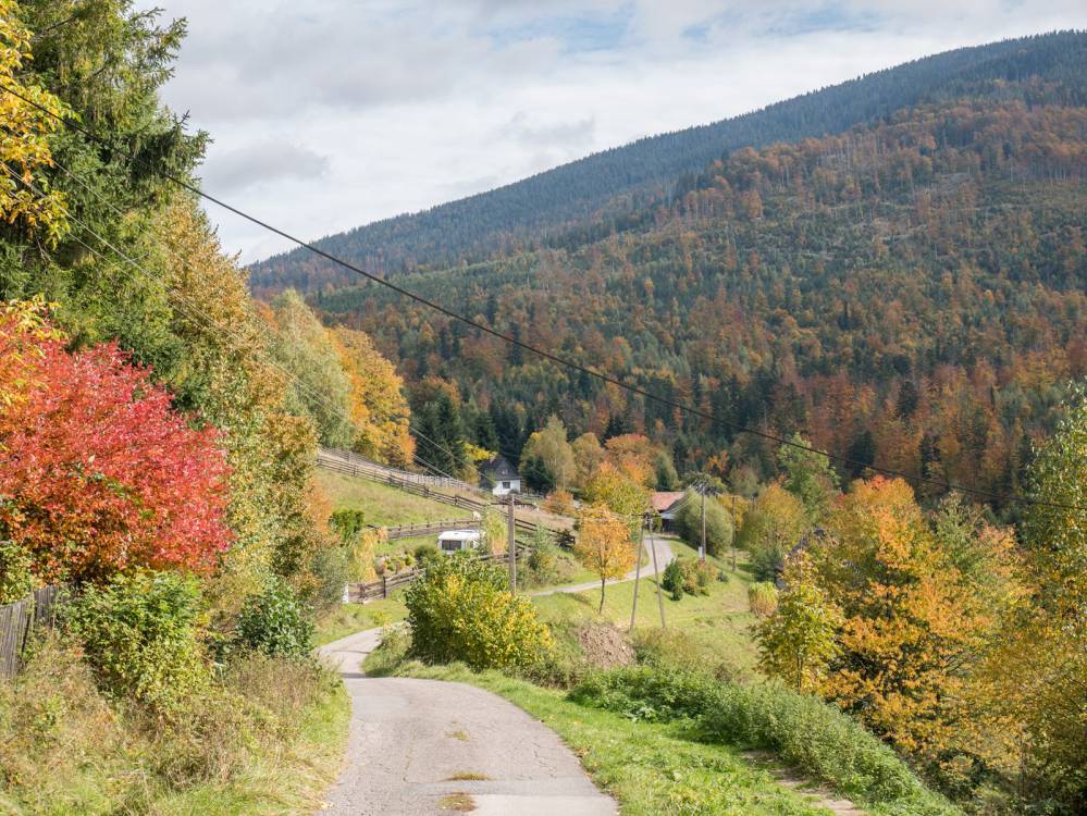 Czarny szlak rowerowy w Węgierskiej G&oacute;rce